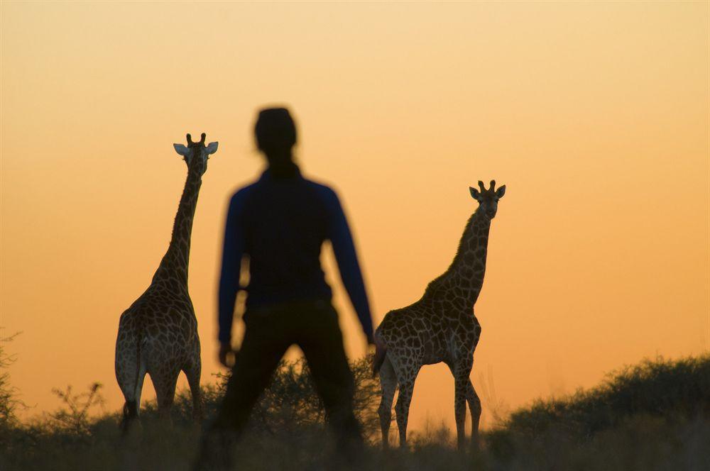 Kubu Safari Lodge 호에드스프뤼트 외부 사진